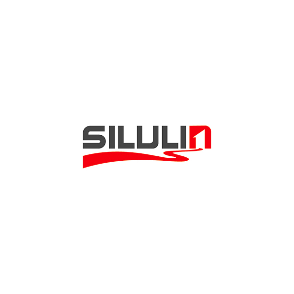 絲路霖品牌logo設計